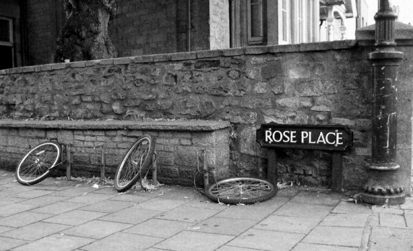Rose place - kola