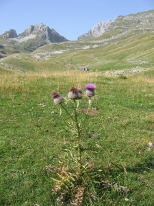 Durmitor 10