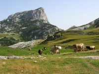 Durmitor 5