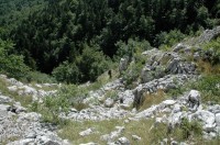 Durmitor 8