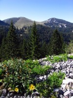 Velebit - střední velikost