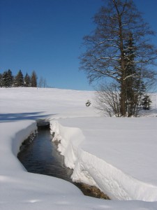 zamrzlý potok