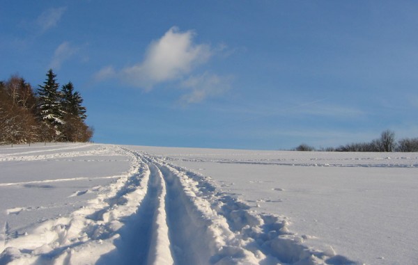 Vysočina naběžkách