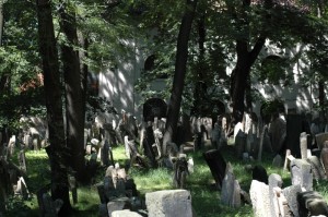 Židovský hřbitov 1