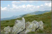 nizke-tatry-sojka32.jpg