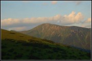 nizke-tatry-sojka40.jpg