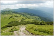 nizke-tatry-sojka47.jpg