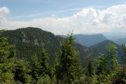 nizke-tatry-sojka8.jpg