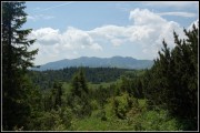 nizke-tatry-sojka9.jpg