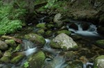 Nízké Tatry 21