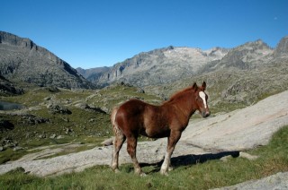 pyreneje-aiguestortes41.jpg