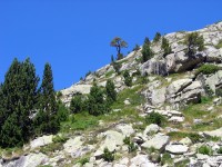 pyreneje-aiguestortes69.jpg