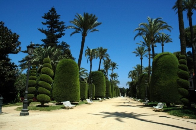 Cádiz - park