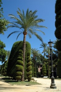 Cádiz - park