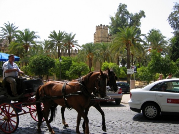 Alcázar de los Reyes Cristianos