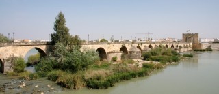 Most Puente Romano a Torre de la Calahorra