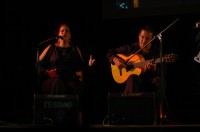 flamenco 1