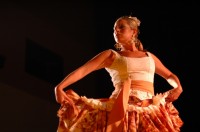 flamenco 8