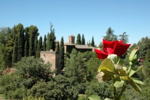 alhambra2009-15.jpg