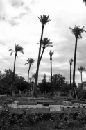 Plaza de America