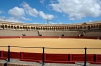 Sevilla - býčí aréna 
