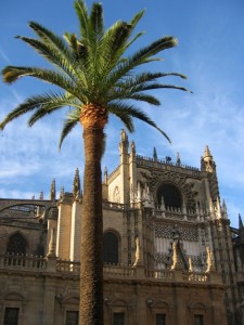 Sevilla - katedrála 4