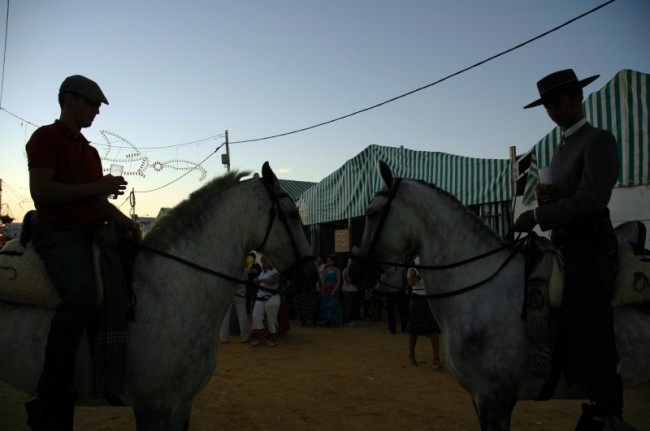 Tarifa - Fiesta 13