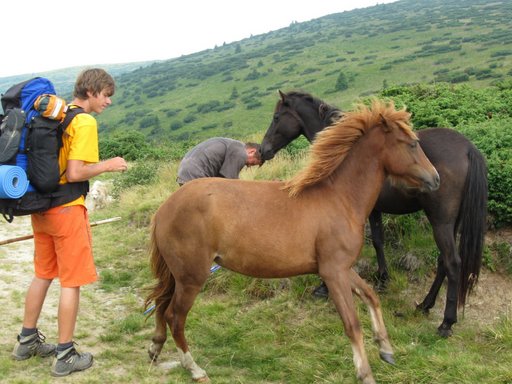 ukrajina-karpaty38.jpg